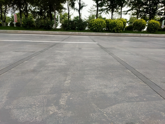 80km / H IP68 High Speed Weight In Motion System Anti Cheating