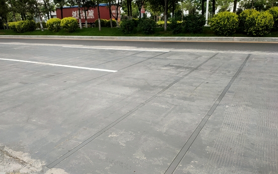 50Hz Weihgt In Motion Management System For Heavy Vehicle Axle Overload