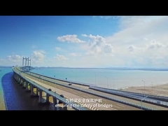 AC220V 50Hz Weight In Motion System IP68 Overweight Identifying